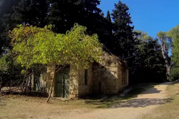 Tatoi