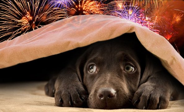 Πάσχα – κίνδυνοι