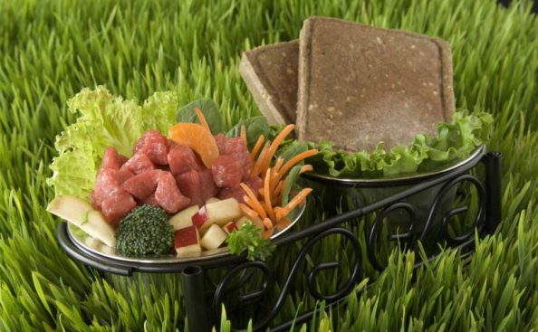 B.A.R.F. μια αντικειμενική προσέγγιση B.A.R.F. μια αντικειμενική προσέγγιση