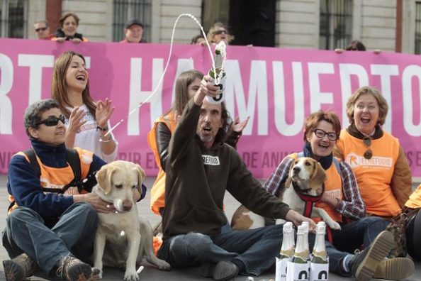madrid-euthanasia-strays