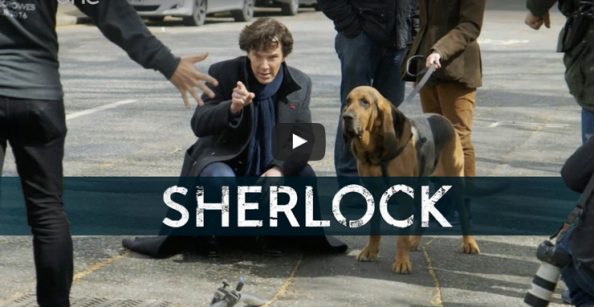 Gone to the dogs – Sherlock: Series 4 – BBC One Gone to the dogs - Sherlock: Series 4 - BBC One