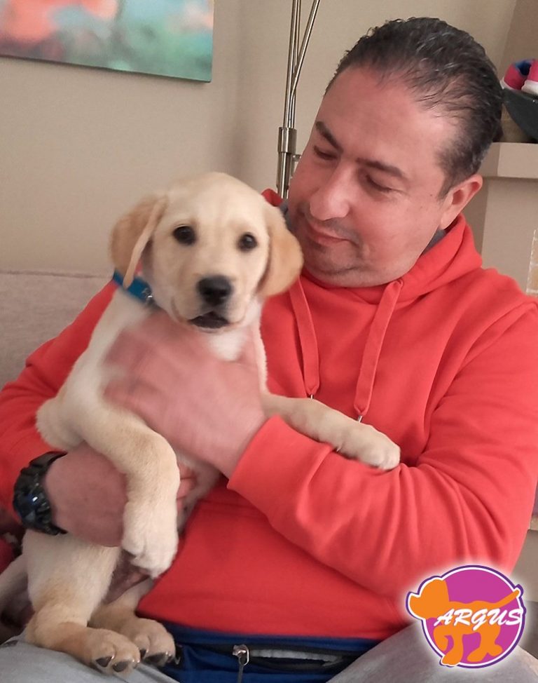 Kobe — Labrador, 3 Γέφυρες