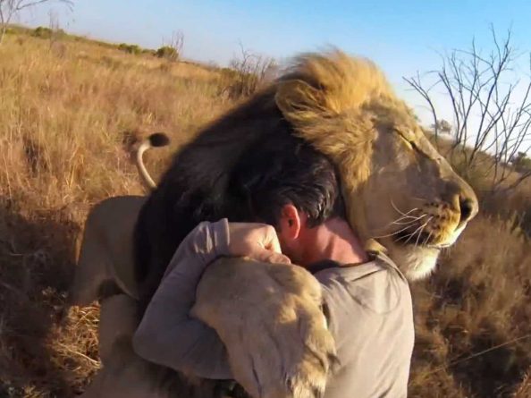 Unique Hugs