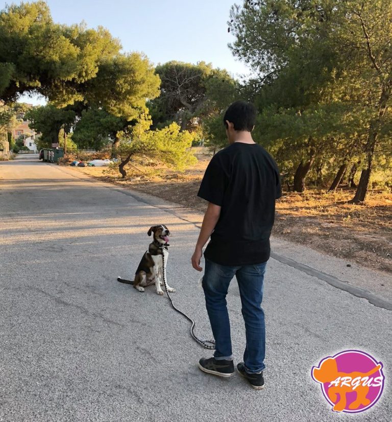 Oscar — Ημίαιμο, Αρτέμιδα