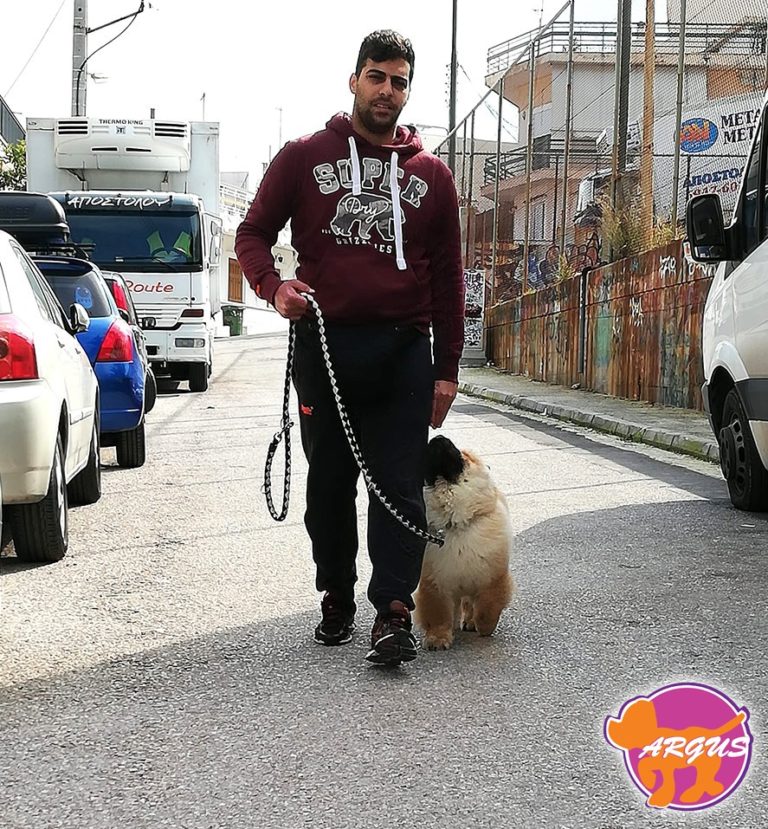 Kinder — Chow Chow, Νίκαια