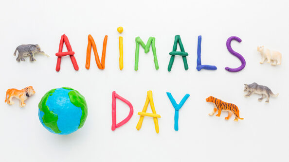 AnimalsDay