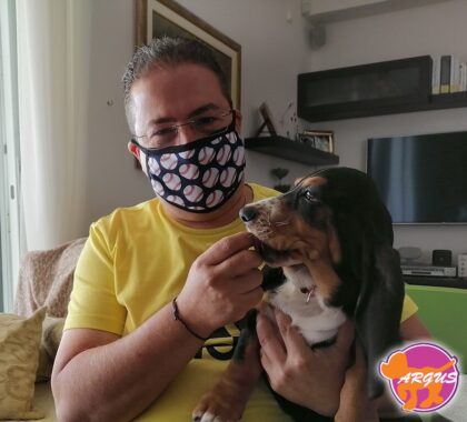 Μορφέας - Basset Hound