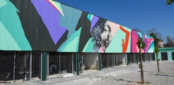 dimos-athinas-etoimo-proto-syghrono-katafygio-adespoton-zoon