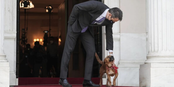 Mitsotakis-Peanut Ο Κυριάκος Μητσοτάκης με τον Πίνατ στο Μαξίμου