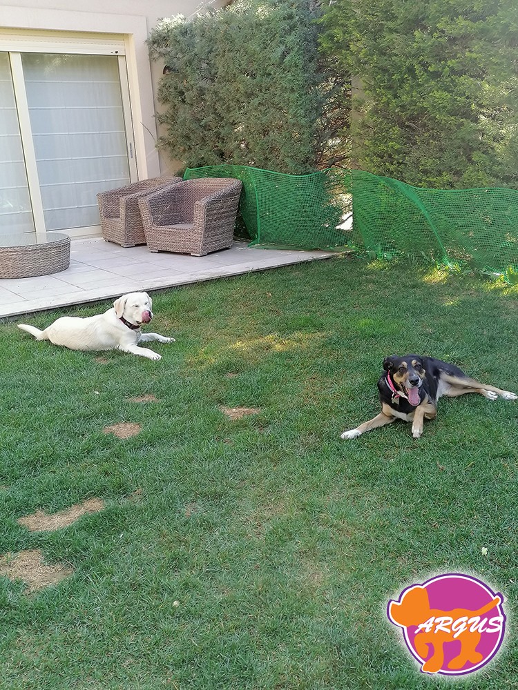 Η Ζημιά με τον Rasley 