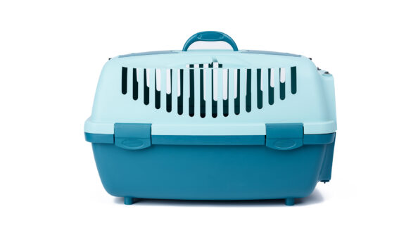 large plastic carrier cage for cats and dogs Μετακίνηση με ζώα