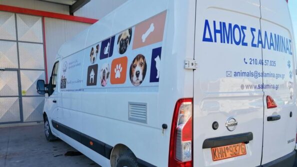 salamina-1 Ο δήμος Σαλαμίνας απέκτησε ασθενοφόρο για τα αδέσποτα ζώα συντροφιάς