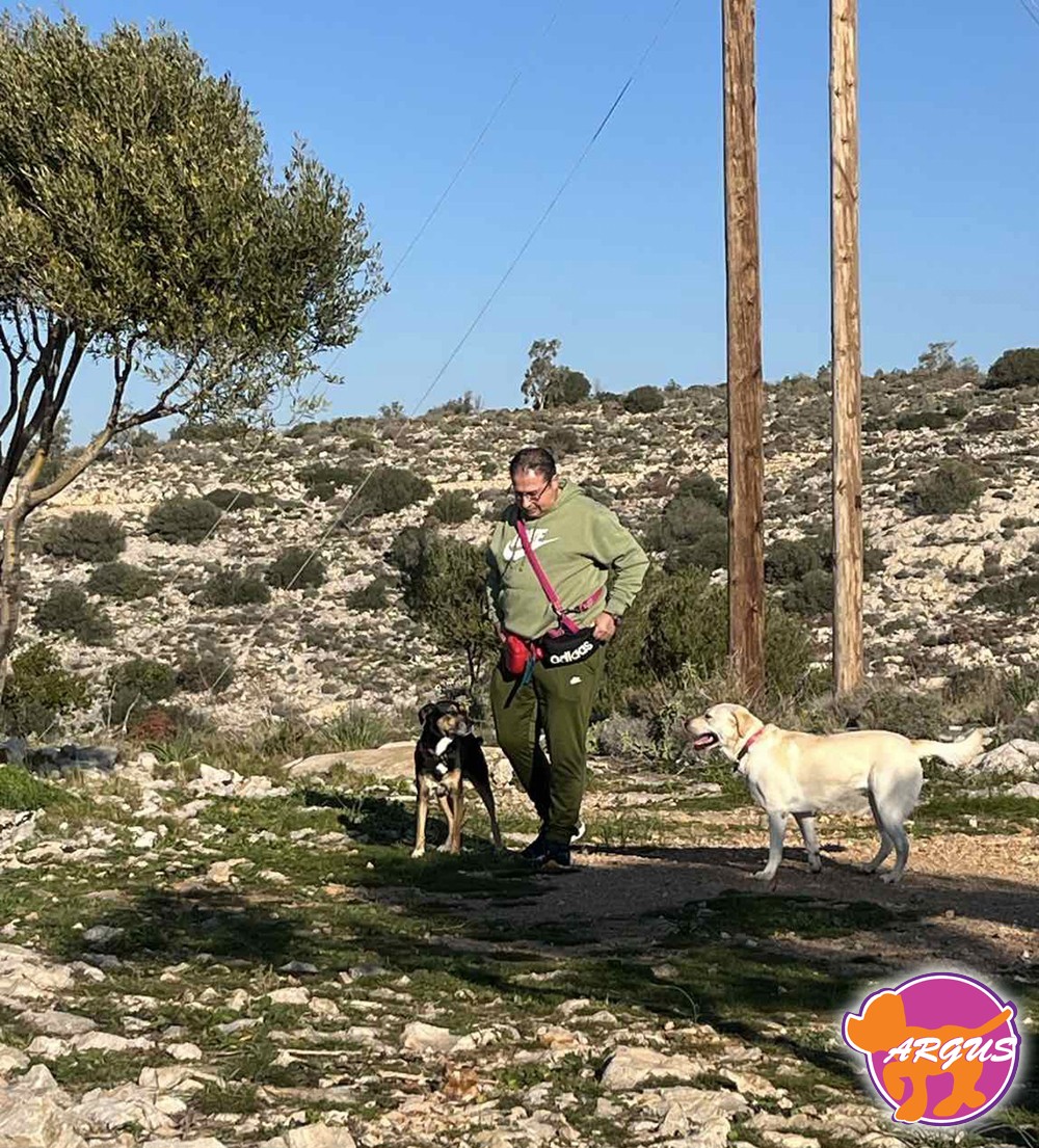 Η Ζημιά με τη Grace