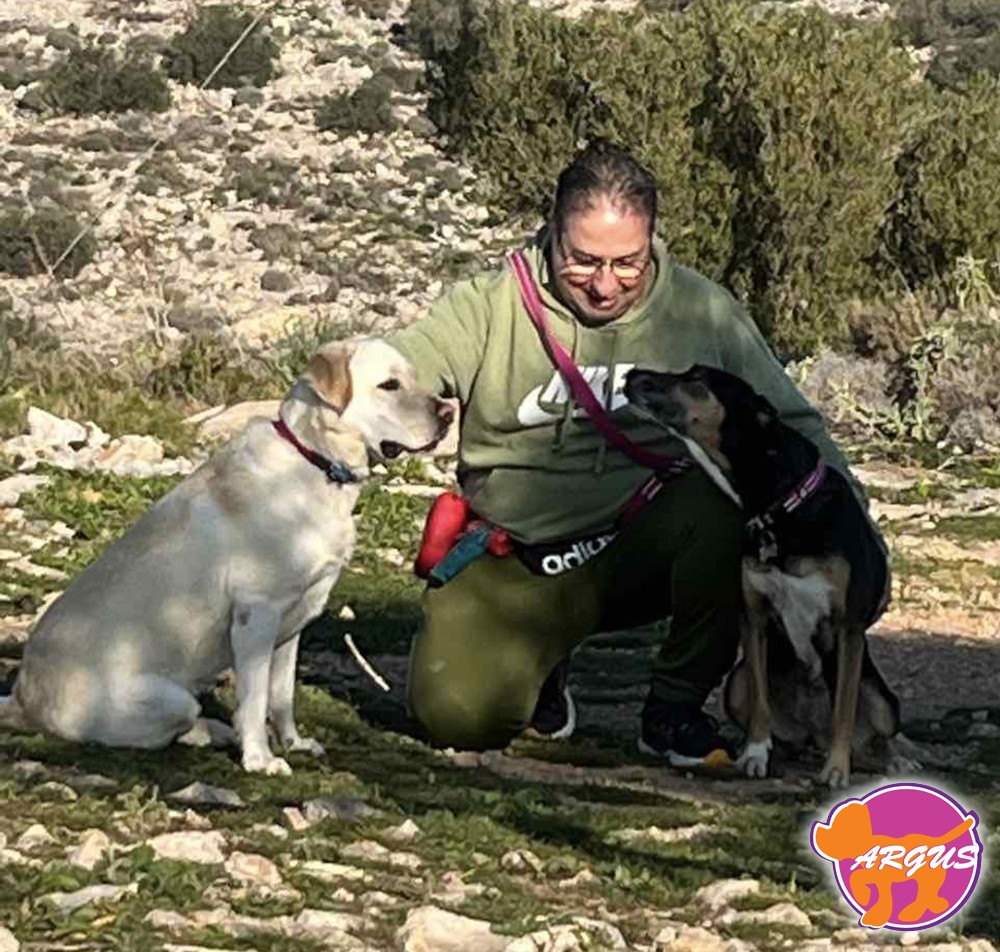 Η Ζημιά με τη Grace