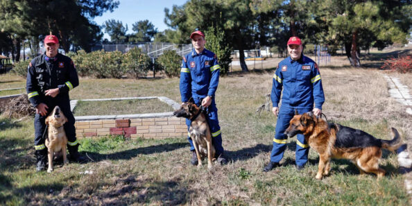 skylia-EMAK Τα 3 σκυλιά της 2ης ΕΜΑΚ