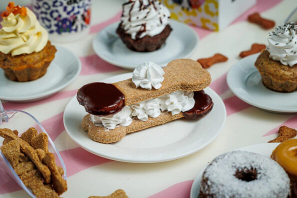 Kafe-gia-slylous Tο πρώτο καφέ για σκύλους άνοιξε στο Παγκράτι