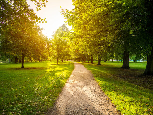 Park Παλλήνη: Κατασκευή ενός από τα μεγαλύτερα πάρκα της Αττικής