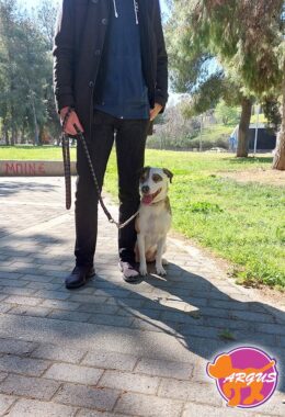 Σέβη - Καλογρέζα