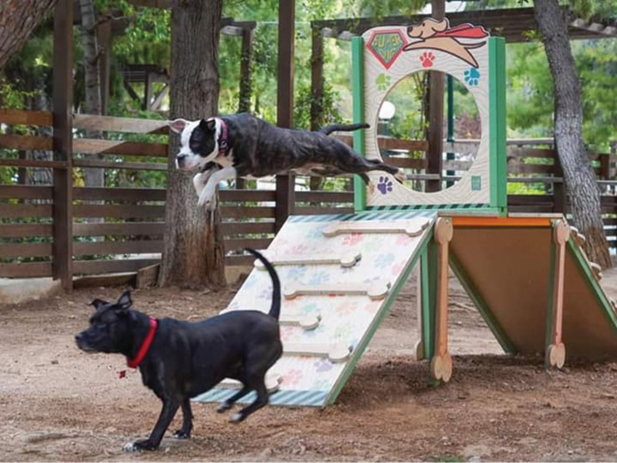  Πάρκο Κοινωνικοποίησης και Άθλησης Σκύλων στην Ελευσίνα
