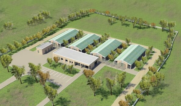 katafygio_adespota_3 Κανένα Αδέσποτο Ζώο