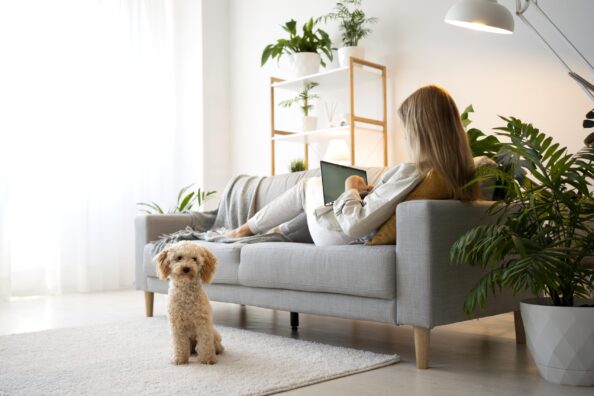 dog-home Σκύλος σε πολυκατοικία