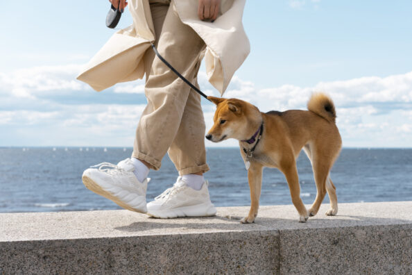 side-view-owner-walking-with-dog Βόλτα σκύλου