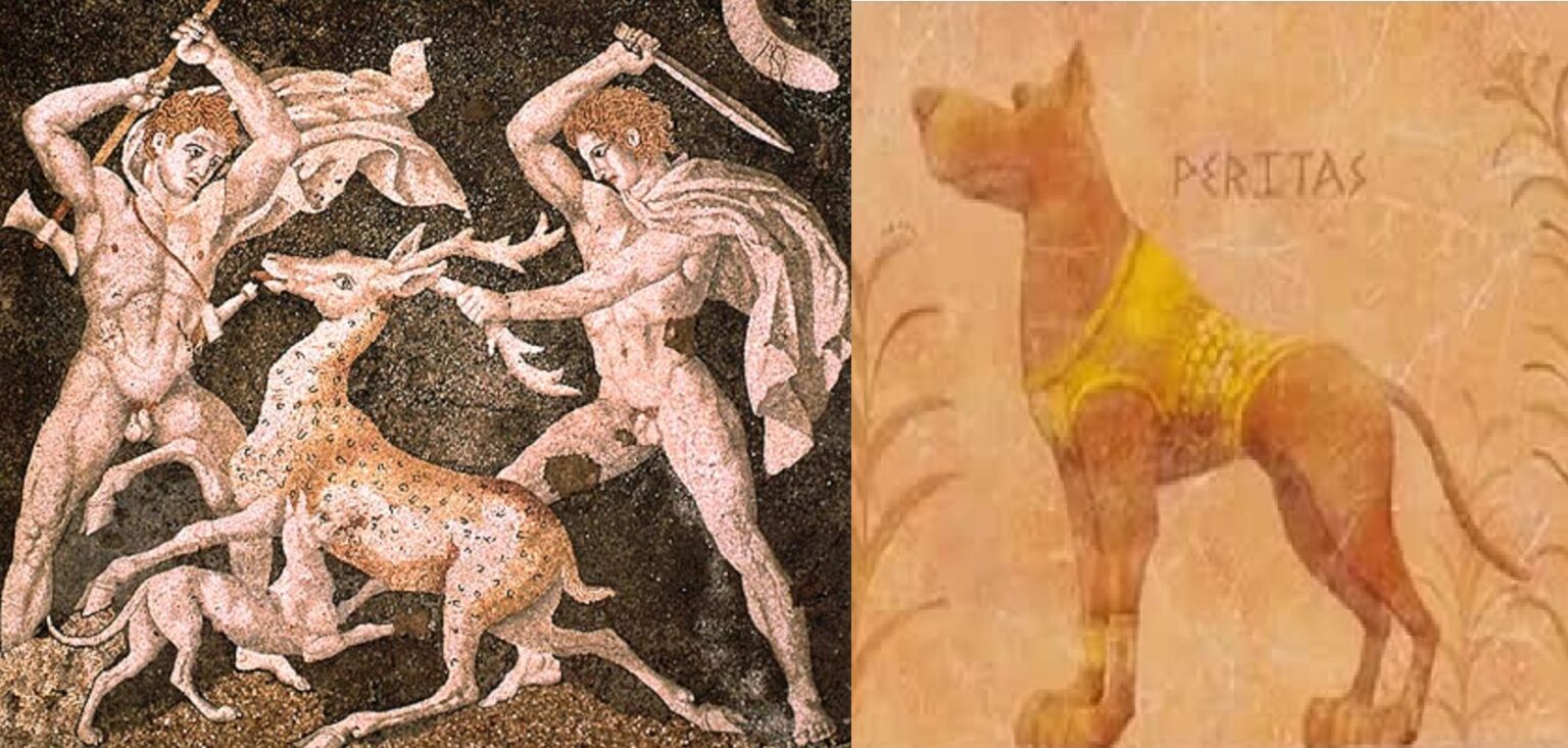 Ο αγαπημένος σκύλος του Μεγάλου Αλεξάνδρου