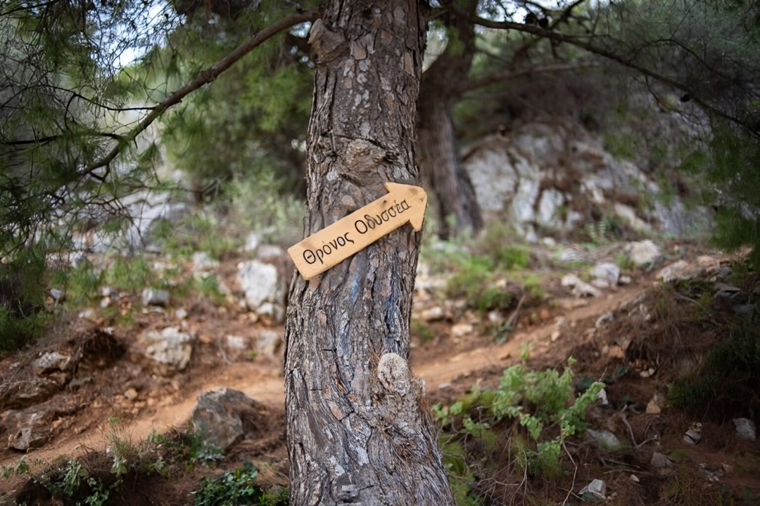 Ποικίλο Όρος