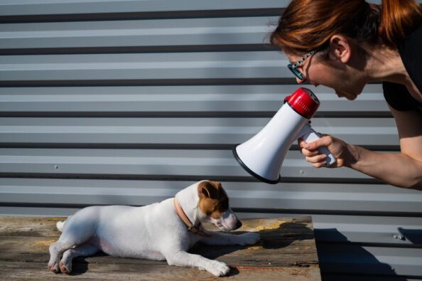 woman-with-dog_1048944-9344821 «Μαθαίνω γράμματα» στον σκύλο μου με δυνατή φωνή