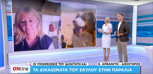 Dikaiomata Σκύλος στην Παραλία: Δικαιώματα & Υποχρεώσεις Ιδιοκτήτη