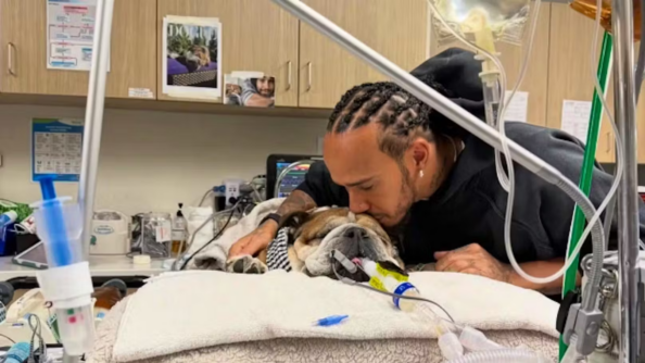 Roscoe Ο Λούις Χάμιλτον αποχαιρετά τον σκύλο του