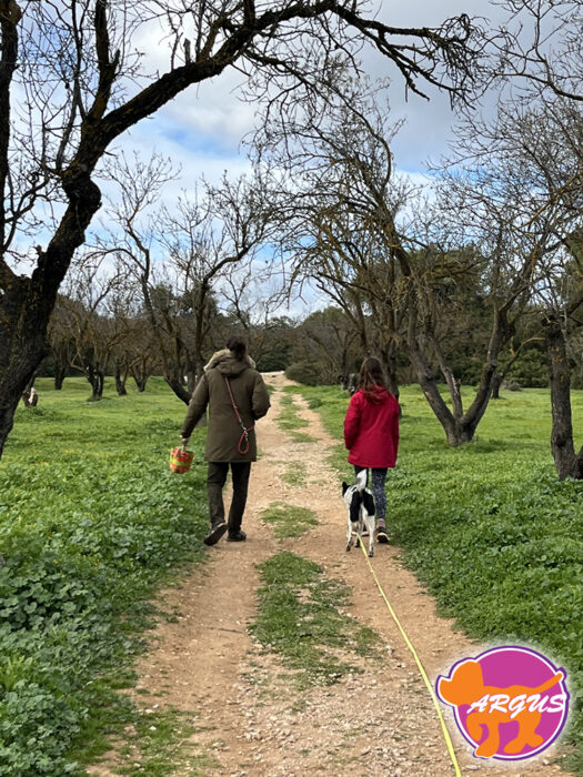Λαλού - Άλσος Συγγρού