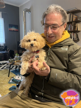 Poodle - Σπίθας - Προεκπαίδευση