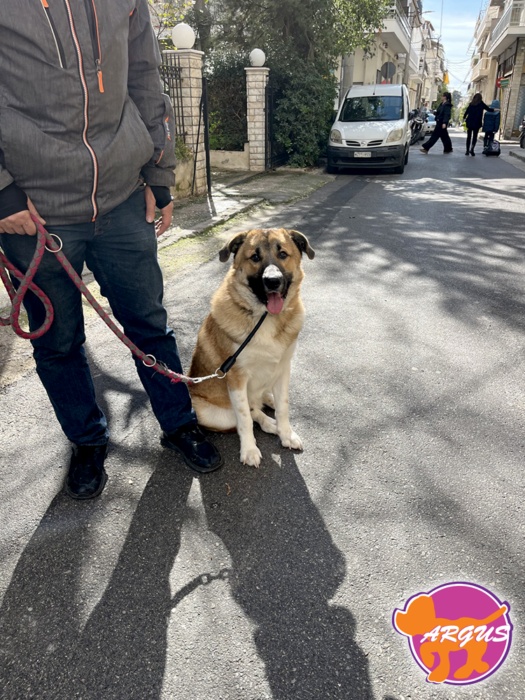 Silvio - Άγιος Δημήτριος