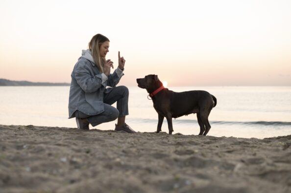 Dog-obedience Βάζοντας όρια στον σκύλο