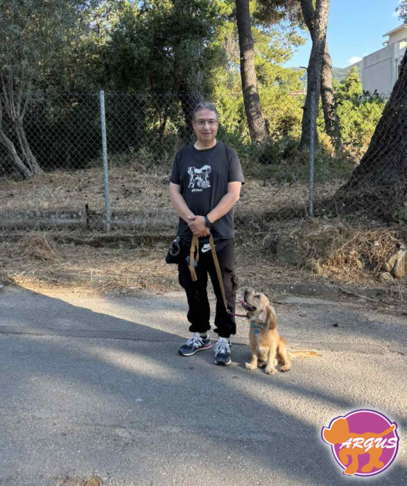 Teddy - Cocker Spaniel - βασική υπακοή σκύλου Δροσιά