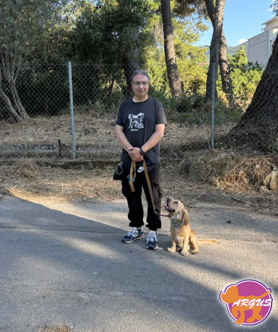 Teddy - Cocker Spaniel - βασική υπακοή σκύλου Δροσιά